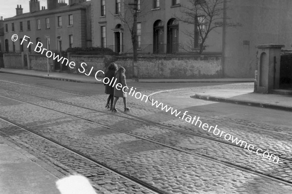 TRAM TRACKS AT SANDYMOUNT